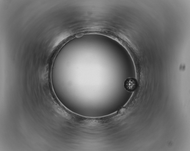 X0000091071450200708061252