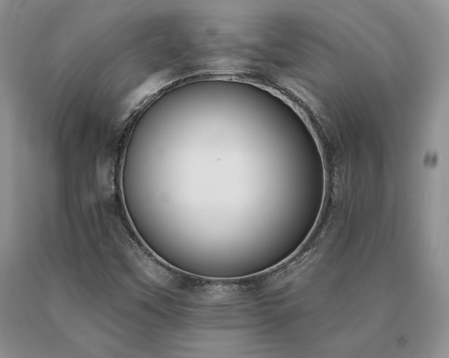 X0000091071451200708061252