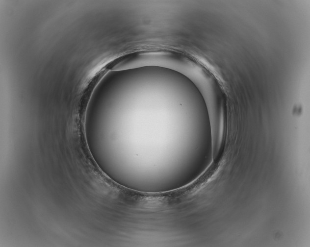 X0000091071453200708061252