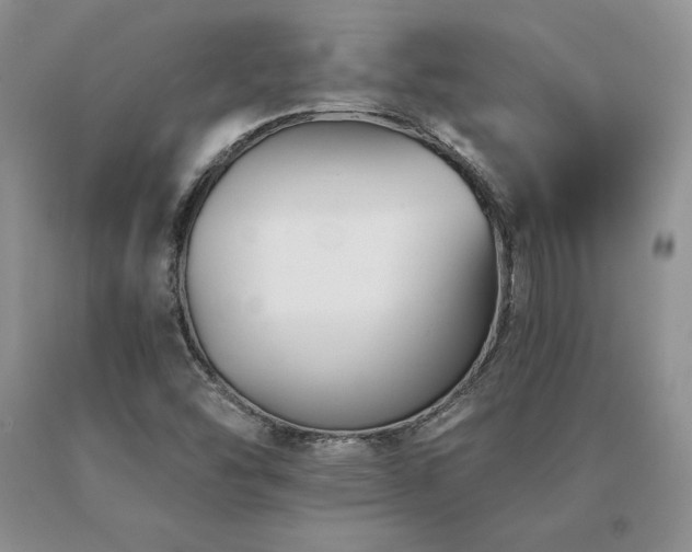 X0000091071454200708061252