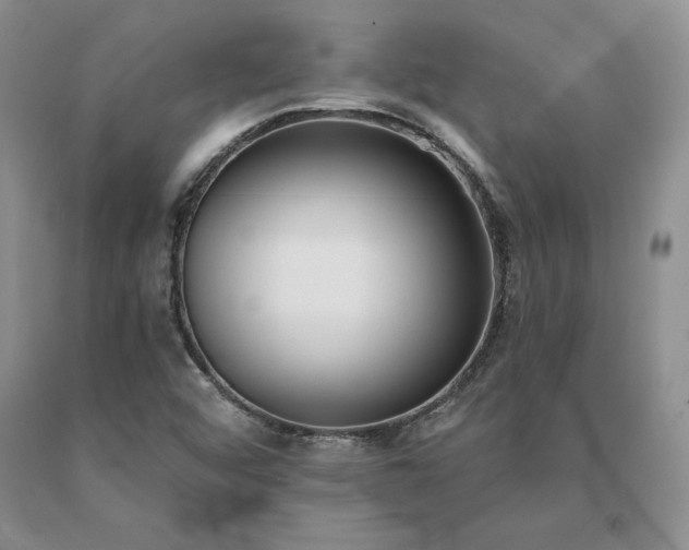 X0000091071456200708061252