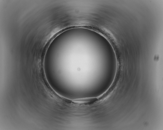 X0000091071457200708061252