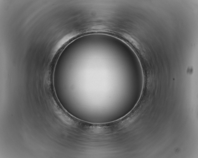 X0000091071458200708061252