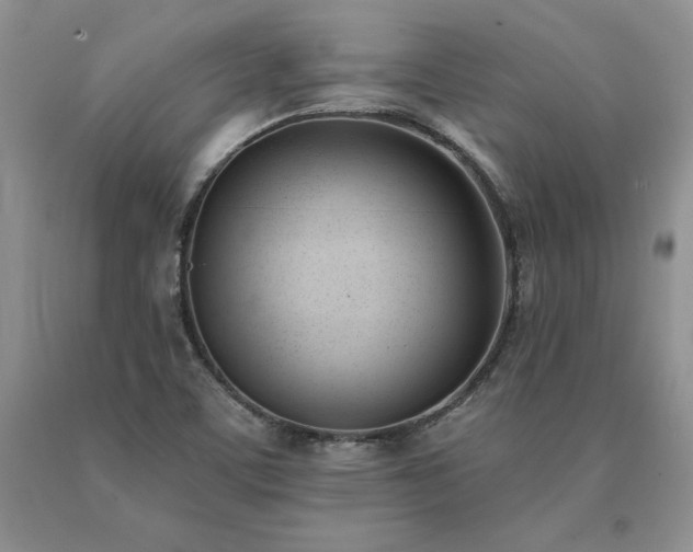 X0000091071459200708061252