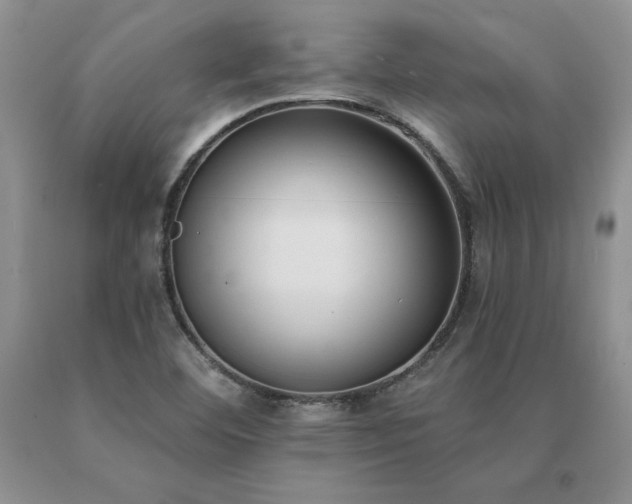 X0000091071460200708061252