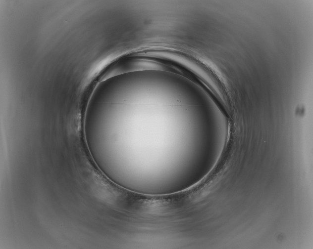 X0000091071461200708061252