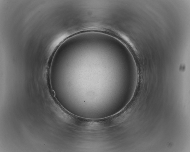 X0000091071463200708061252