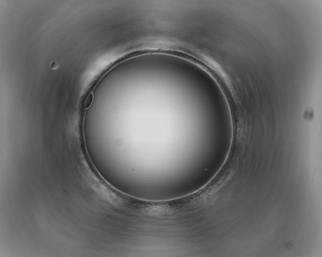 X0000091071464200708061252
