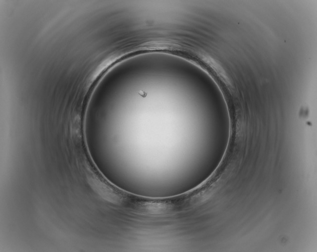 X0000091071465200708061252