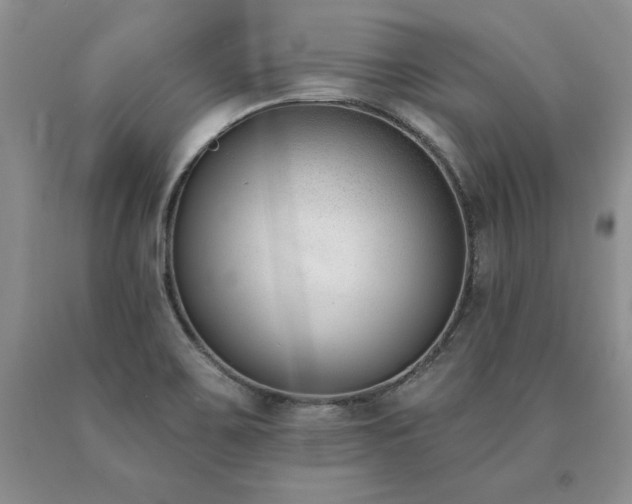 X0000091071467200708061252