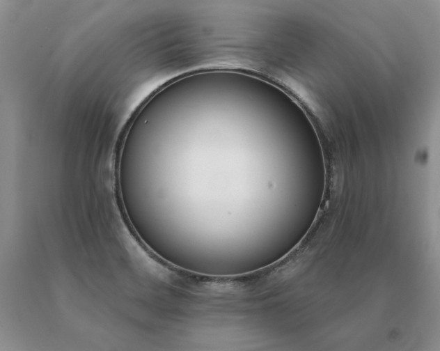 X0000091071468200708061252