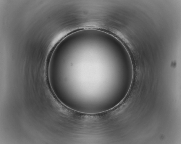 X0000091071469200708061252