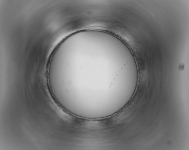 X0000091071470200708061252