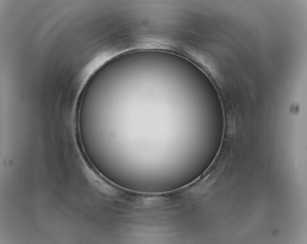 X0000091071471200708061252