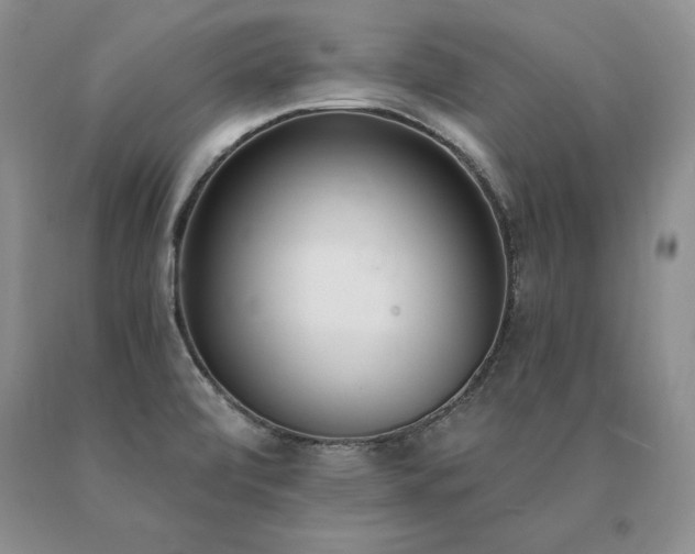 X0000091071472200708061252