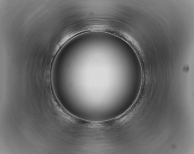 X0000091071473200708061252