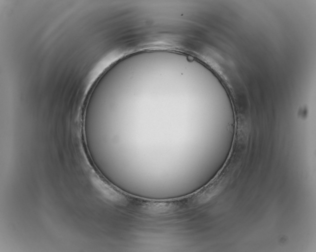X0000091071474200708061252