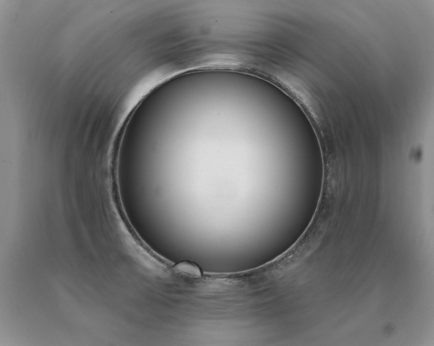 X0000091071475200708061252