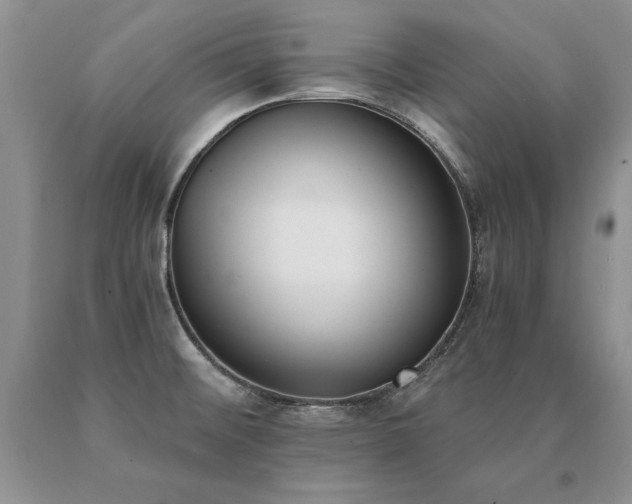 X0000091071476200708061252
