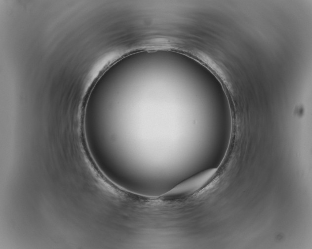 X0000091071477200708061252