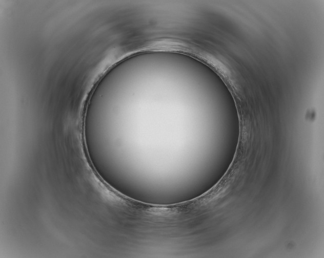 X0000091071478200708061252