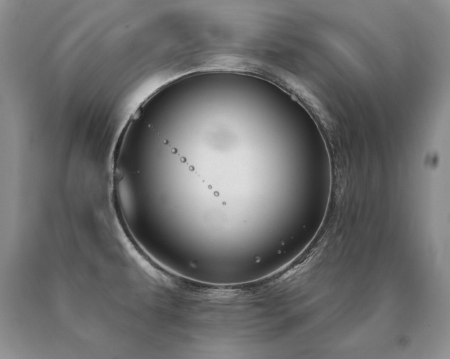 X0000091071479200708061252