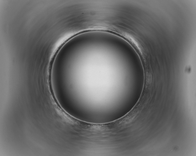 X0000091071480200708061252