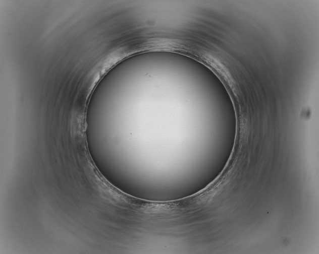 X0000091071481200708061252
