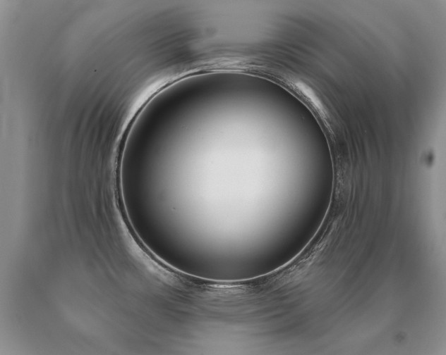 X0000091071483200708061252