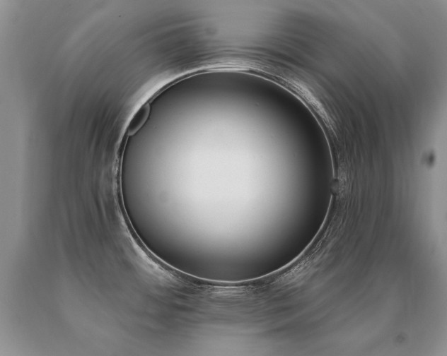X0000091071484200708061252