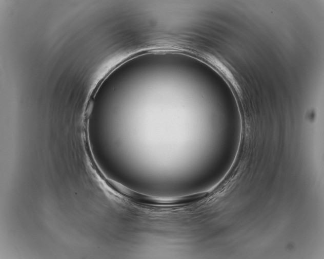X0000091071485200708061252
