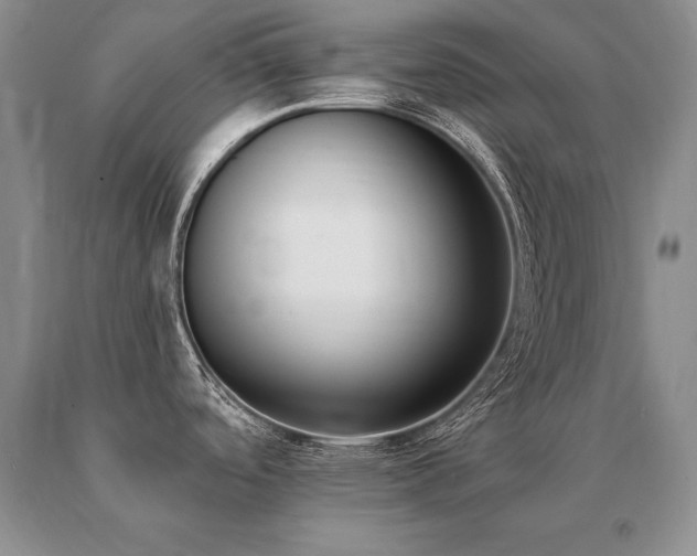 X0000091071488200708061252