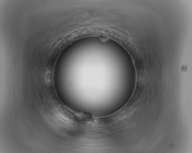 X0000091071490200708061251