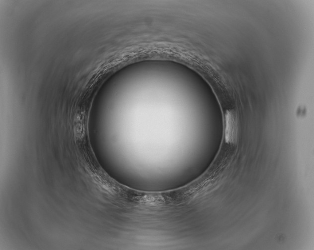X0000091071491200708061251