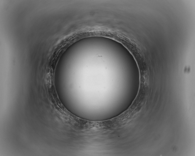 X0000091071493200708061251