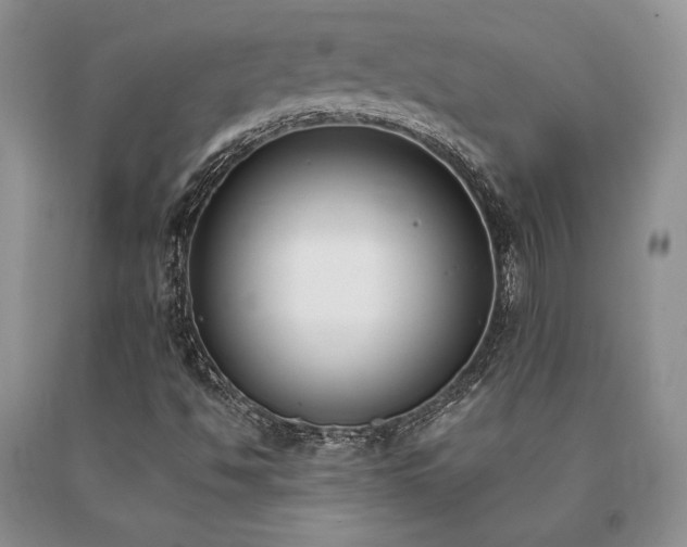 X0000091071494200708061251