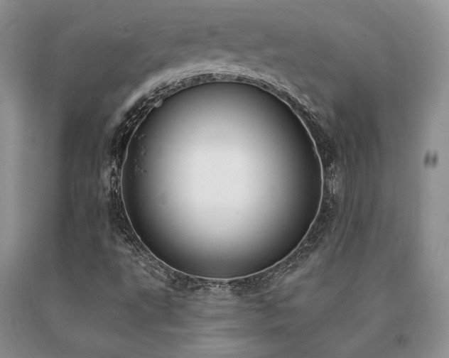 X0000091071495200708061251