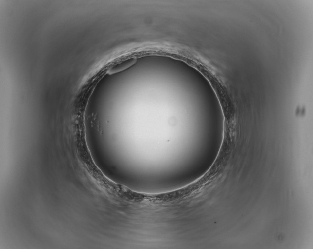 X0000091071496200708061251