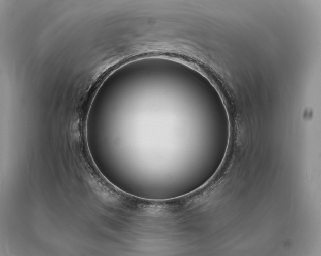 X0000091071497200708061251