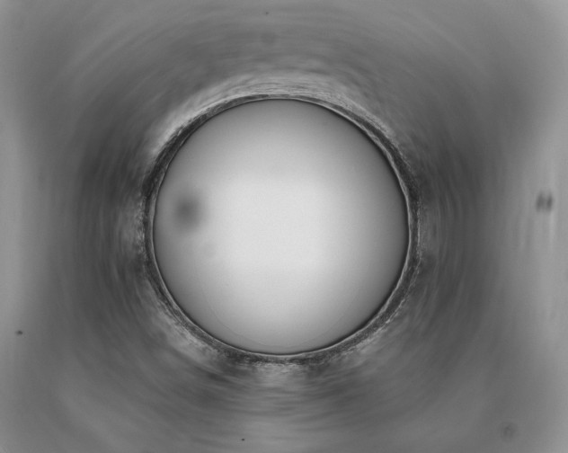 X0000091071498200708061251