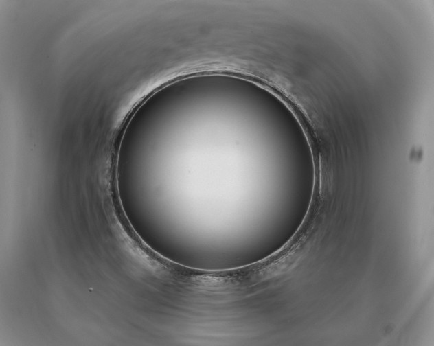X0000091071500200708061251