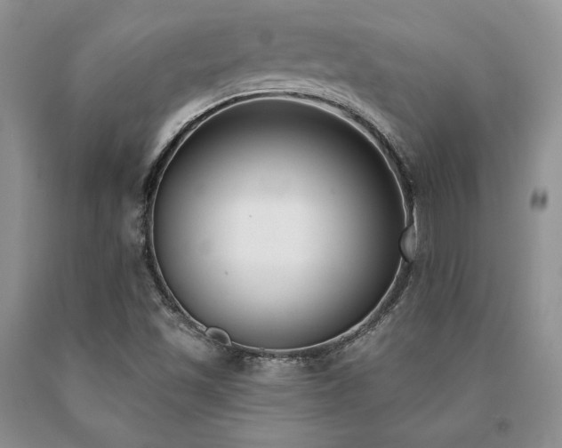 X0000091071501200708061251