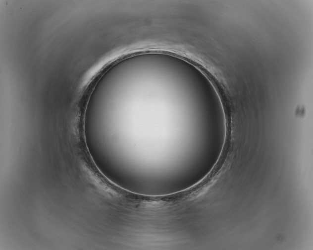 X0000091071502200708061251