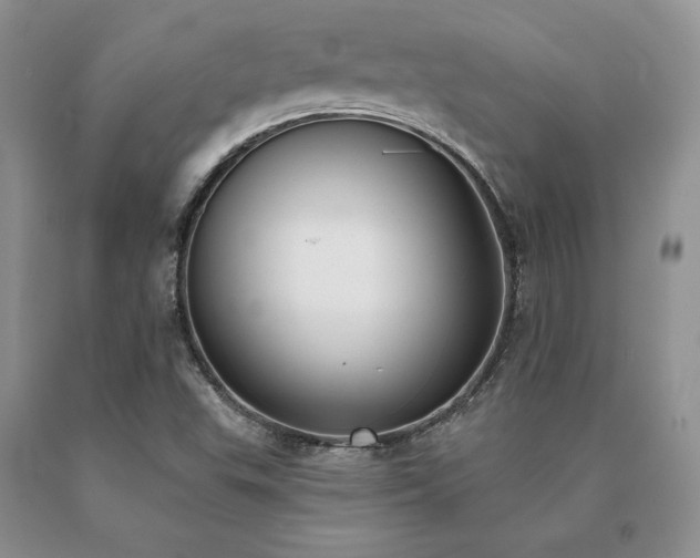 X0000091071503200708061251