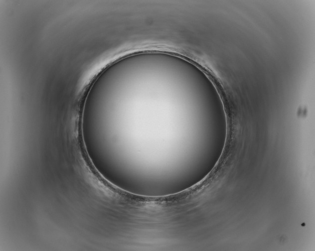 X0000091071504200708061251