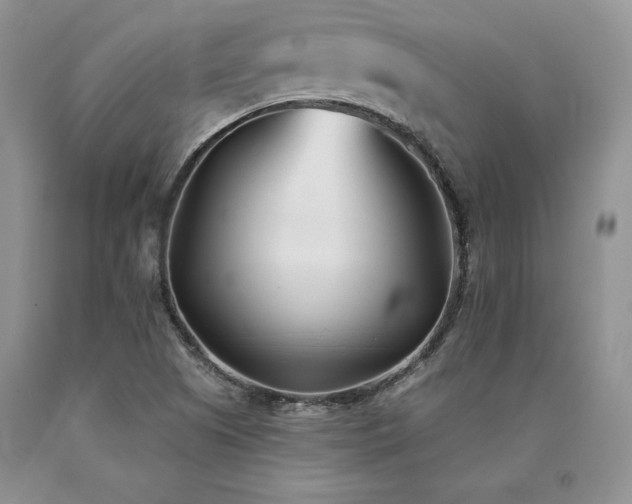 X0000091071505200708061251