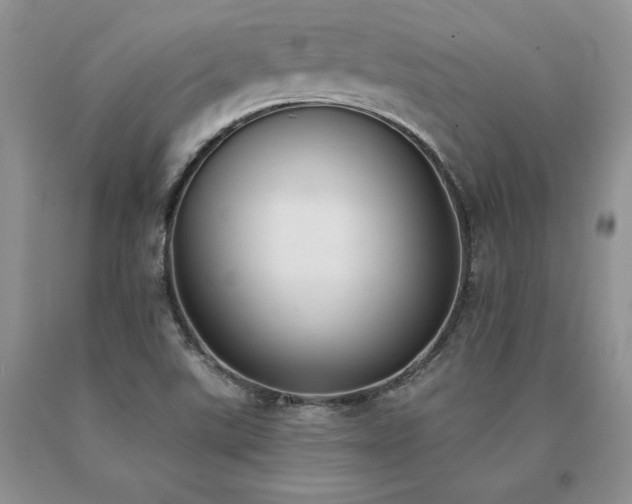 X0000091071507200708061251
