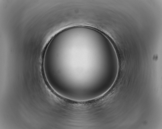 X0000091071508200708061251