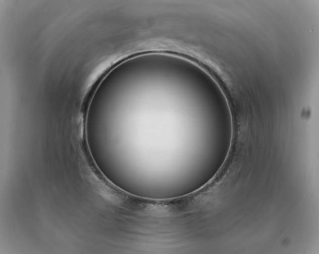 X0000091071509200708061251
