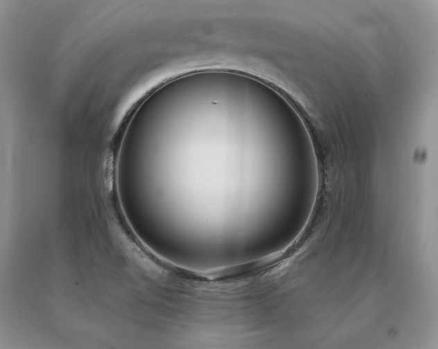 X0000091071510200708061251
